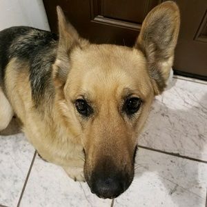 Meet your Posher, Mika